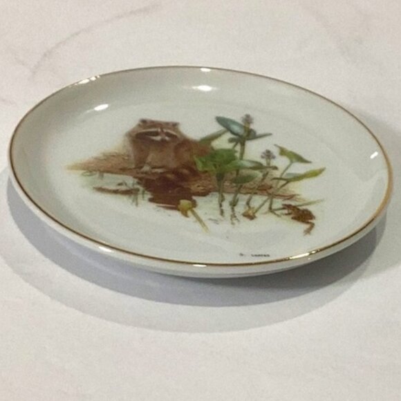 Vintage Glen Loates Collection‎ Raccoon Collectible Small Round Plate by Viletta - Picture 3 of 5
